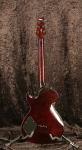 
                            Cort Z-44